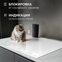 Zigmund & Shtain CI 24.4 W Image #13