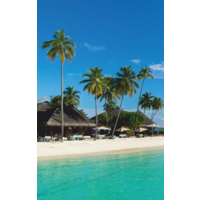 БРТЗ Дыхание тепла Мальдивы