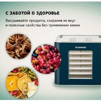 StarWind SFD6431 Image #11