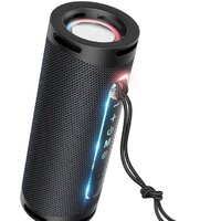 Hoco HC9 Dazzling Pulse (черный)