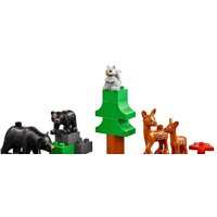 LEGO Education 45029 Животные Image #3