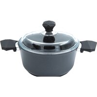 Victoria Diamond induction АЛА 2.0 л D07 2.0G