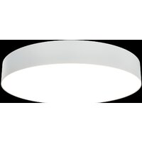 Maytoni Zon C032CL-L48W3K Image #2