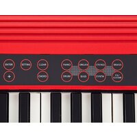 Roland Go:Keys Image #7