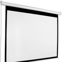 Draper AccuScreens Electric 241x176 [800066]