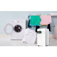 Royal Clima Pacific Studio RD-PC12-EW Image #6