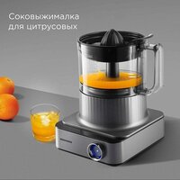 Redmond (Редмонд) FP608 (серый) Image #3