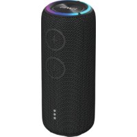 Aiwa PAS-H300 (черный)