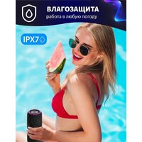 Aiwa PAS-H300 (черный) Image #7