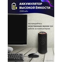 Aiwa PAS-H300 (черный) Image #12