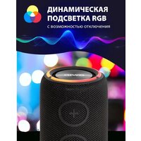 Aiwa PAS-H300 (черный) Image #8