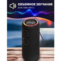 Aiwa PAS-H300 (черный) Image #6