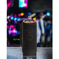 Aiwa PAS-H300 (черный) Image #14