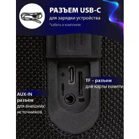 Aiwa PAS-H300 (черный) Image #13