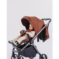 Rant Golf RA101 (maroon brown) Image #2