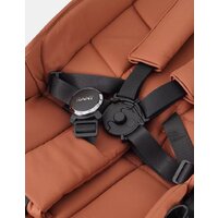 Rant Golf RA101 (maroon brown) Image #30