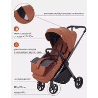 Rant Golf RA101 (maroon brown) Image #6