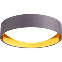 Evoluce Orbio SLE201112-01