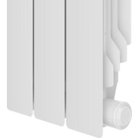 Royal Thermo Revolution B 350 - 4 секций Image #5