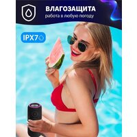 Aiwa PAS-H200 (черный) Image #7