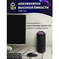 Aiwa PAS-H200 (черный) Image #11