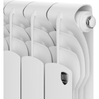 Royal Thermo Revolution B 350 - 12 секций Image #4