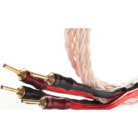 Taga Harmony Platinum 18-16C