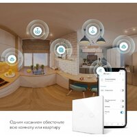 Rubetek RL-3122 двухканальный Image #6