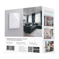 Rubetek RL-3122 двухканальный Image #4