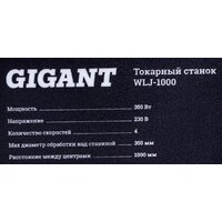 Gigant WLJ-1000 Image #3