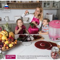 Мастерица EFD-3061 (розовый перламутр) Image #8