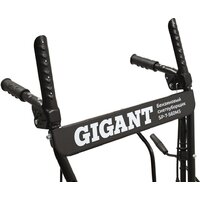 Gigant SP-7-560MS Image #11