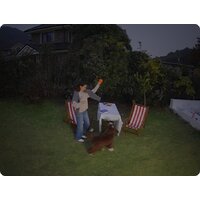 TP-Link Tapo C460 Image #10