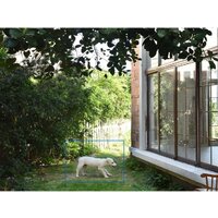 TP-Link Tapo C460 Image #16