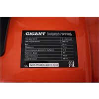 Gigant SP-11-710ES Image #10