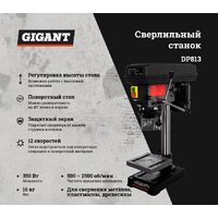 Gigant DP813 Image #3
