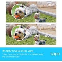 TP-Link Tapo C420S1 Image #3