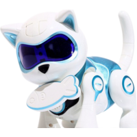 IQ Bot Кошка Джесси 7028279