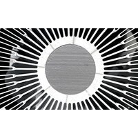 Arctic Alpine 17 CO ACALP00041A Image #4