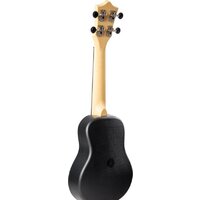 Flight TUS Alyona Shvetz Image #3