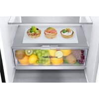 LG DoorCooling+ GC-B509FTZW Image #14