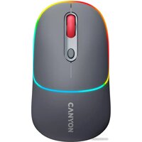 Canyon MW-22 (темно-серый)