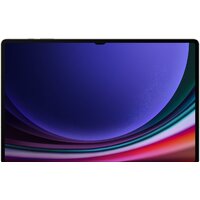 Samsung Galaxy Tab S9 Ultra Wi-Fi SM-X910 12GB/256GB (графитовый) Image #2