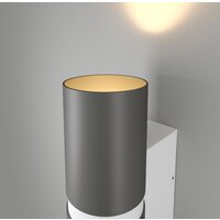 Elektrostandard Liberty 35124/U (серый с белым) Image #3