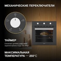 Hyundai HEO 66311 BG Image #9