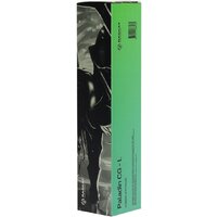 Raskat Paladin CG - L Image #4