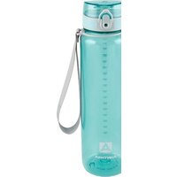 Арктика 720-1000-CN 1л (голубой)