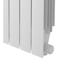 Royal Thermo Revolution 500 2.0 - 12 секций Image #5