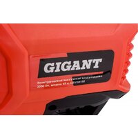 Gigant GBVER-02 Image #12