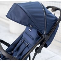 Inglesina Now (shot beige) Image #4